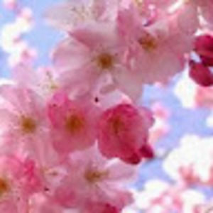 Meet your Posher, Nayeli